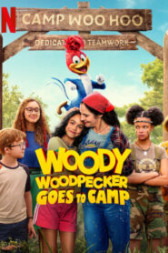 Chim gõ kiến Woody đi trại hè